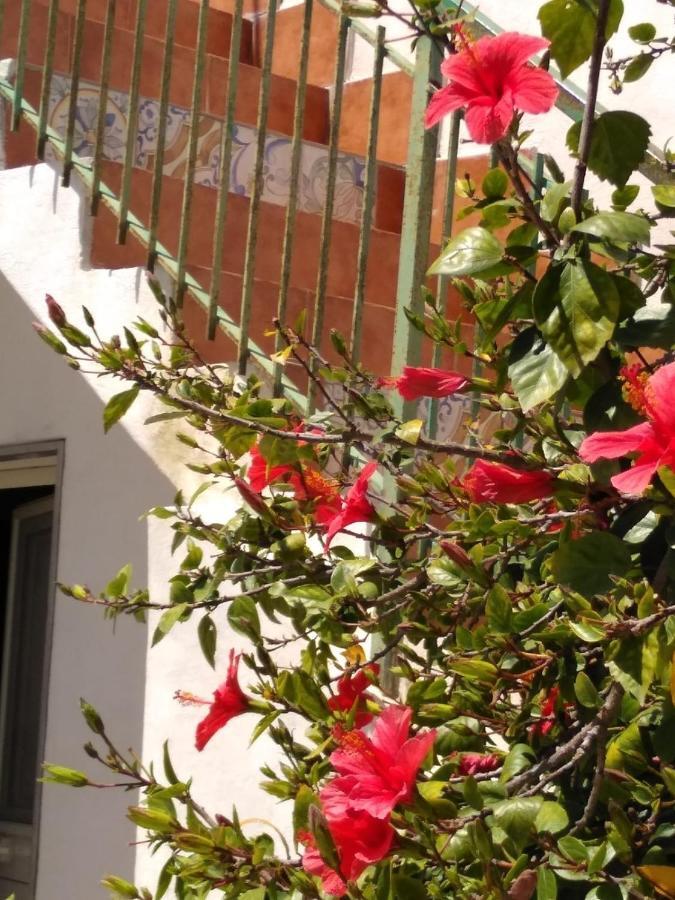 Casale Hibiscus Villa Santa Maria Del Focallo Exterior foto